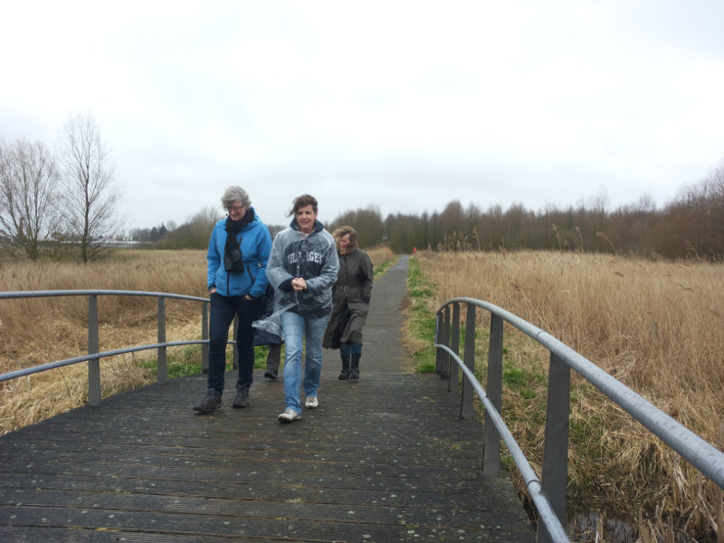 Programma beeld 4